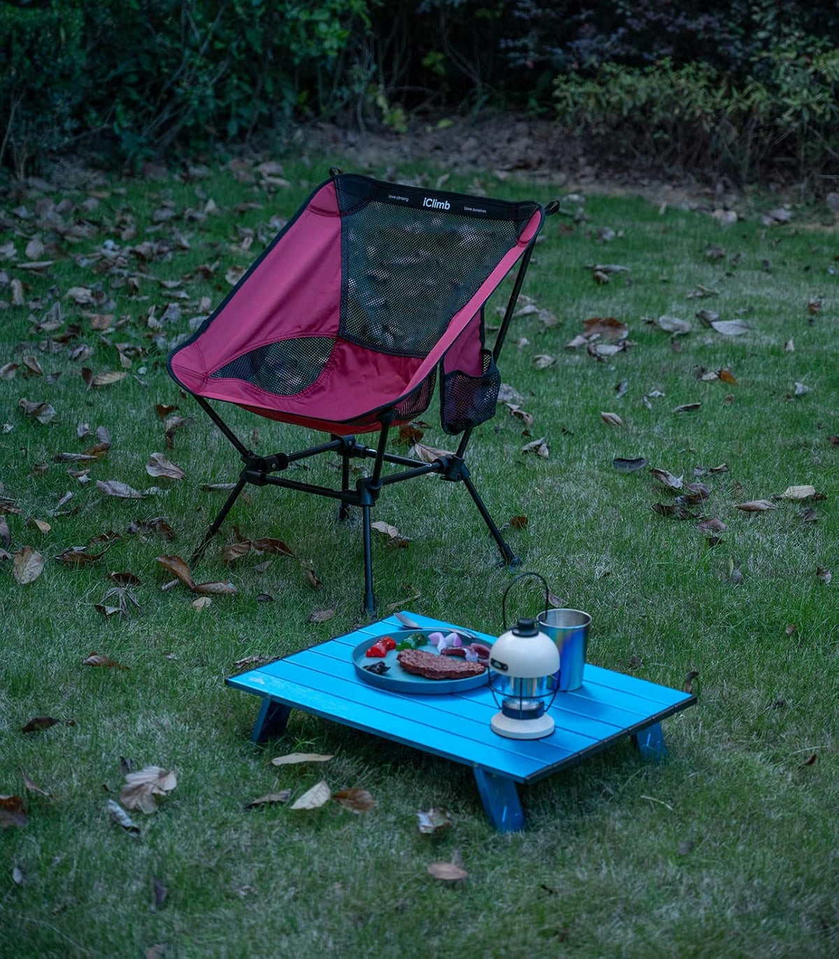 Ultralight Compact Camping Folding Beach Chair