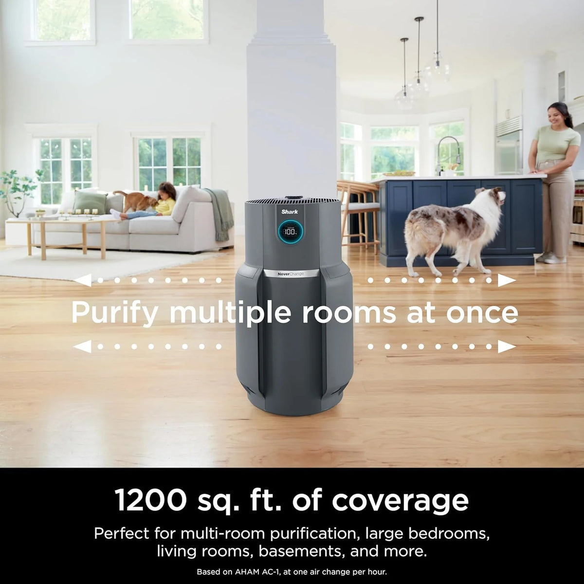 Air Purifier Compact Pro with Long-lasting HEPA Exceeding Filtration, For Pet Dander, Dust, Smoke, Allergens, Up to 250 sq. ft.