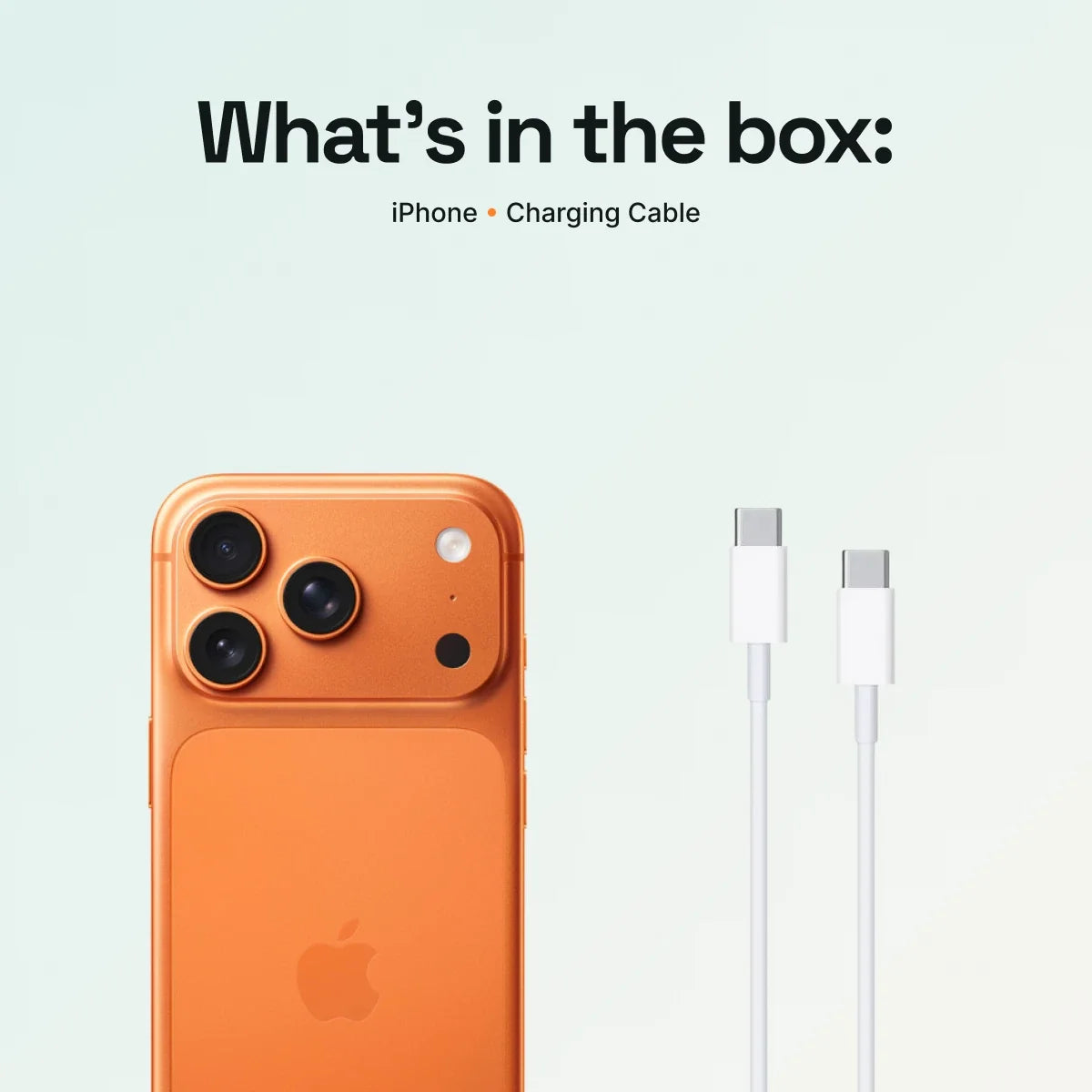 What’s in the box: iPhone and charging cable